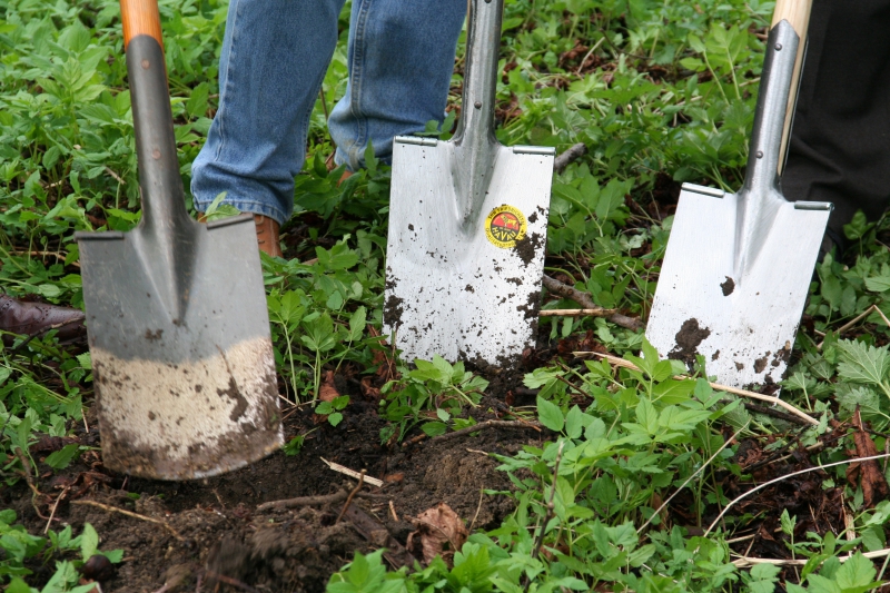 pepiniere-LE PRADET-min_work-lawn-flower-tool-green-backyard-1103633-pxhere.com